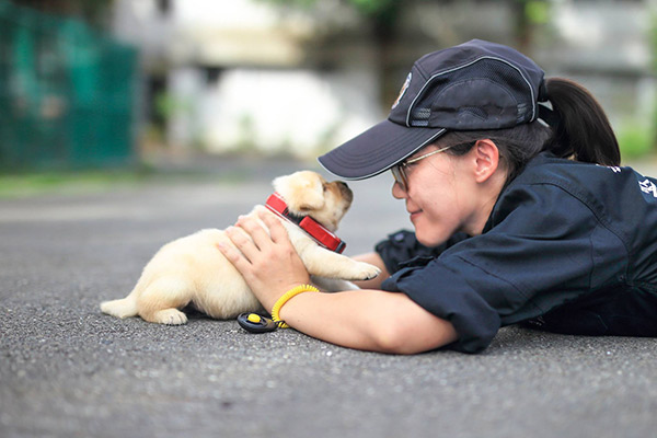 เปิดตัวแก๊งลูกหมาสมาชิกใหม่หน่วยสุนัขตำรวจไต้หวัน ว่าที่ K-9 ผู้ห้าวหาญในอนาคต 