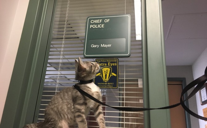 Donut the Pawfficer