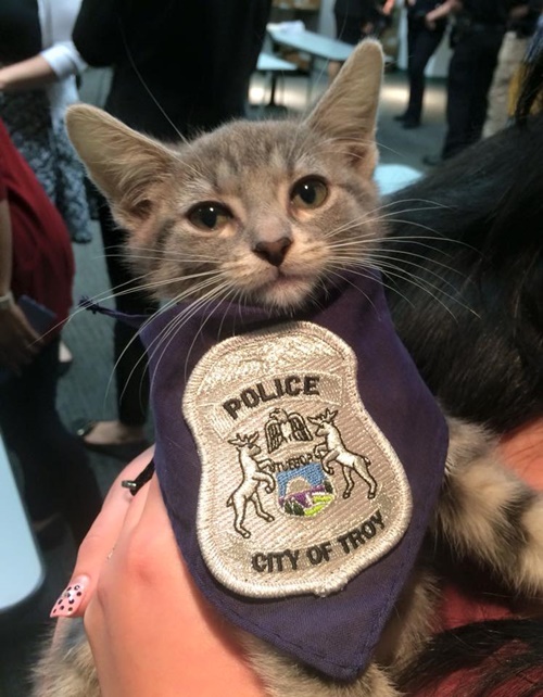 Donut the Pawfficer