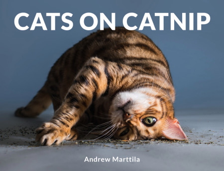 CATS ON CATNIP by Andrew Marttila