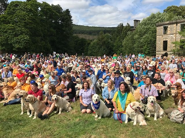 150 Golden Retrievers breed anniversary