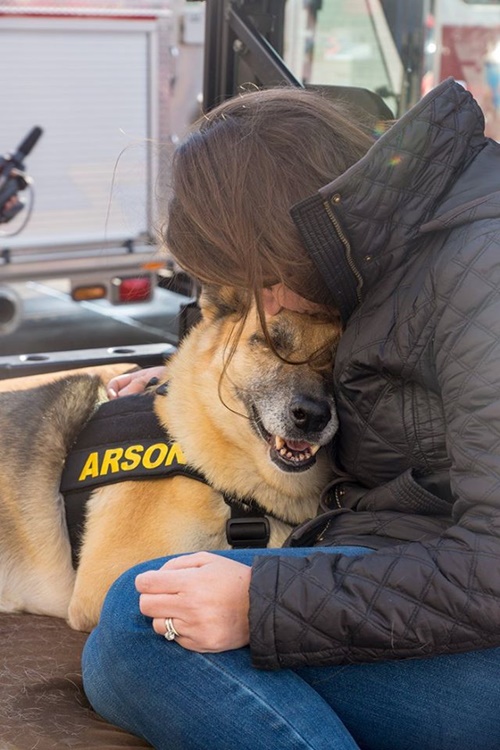 Victoria the rescued dog