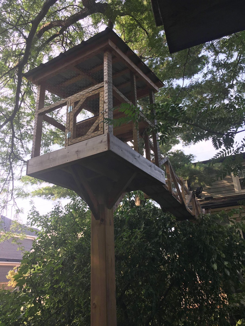 dad build tree house for cats