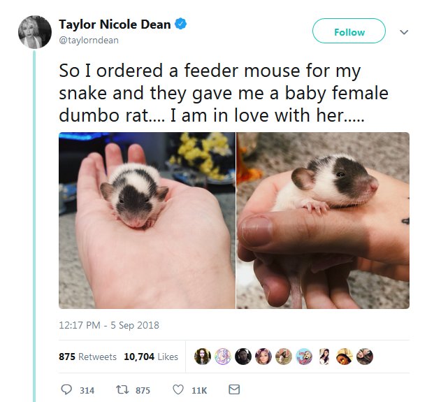 Taylor Nicole Dean and Goose the dumbo rat 