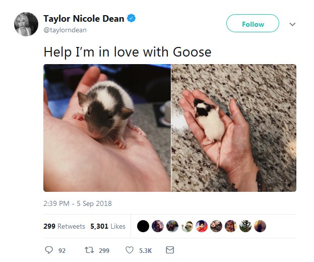 Taylor Nicole Dean and Goose the dumbo rat 