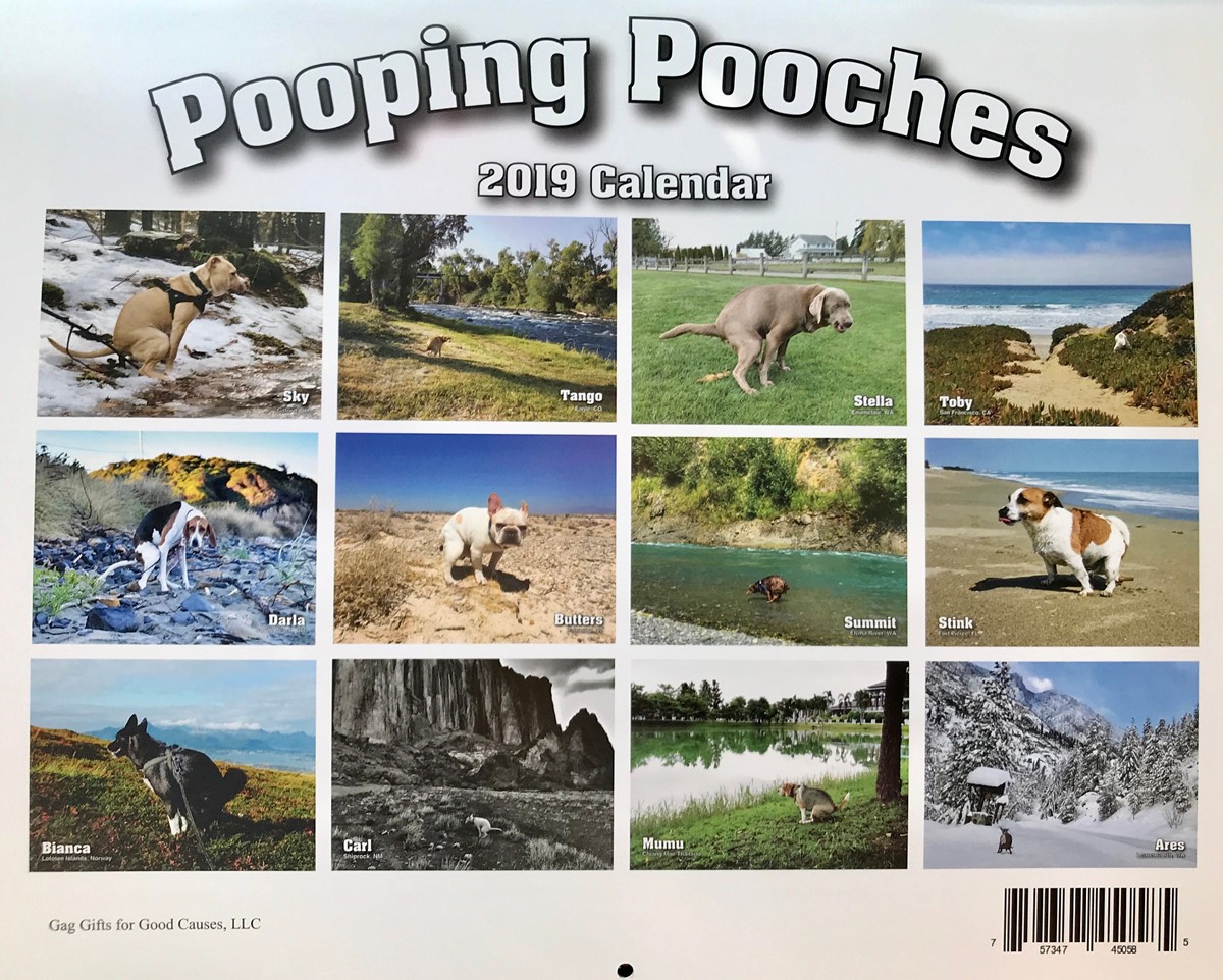 pooping pooches calendar