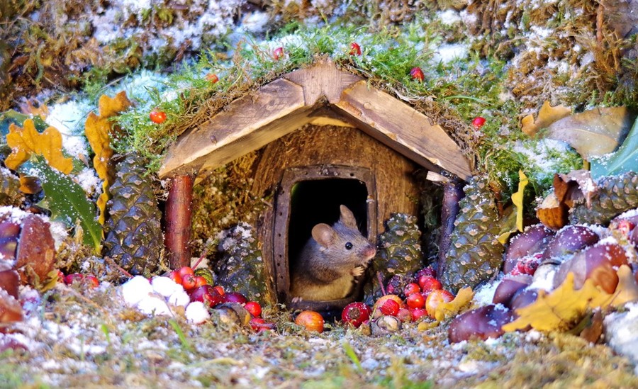 Simon Dell mice village 