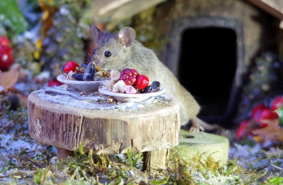 Simon Dell mice village 