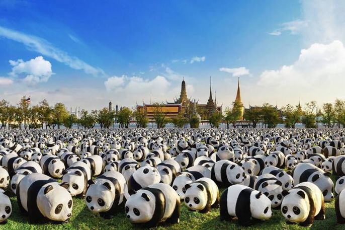 มีนาคมนี้ เตรียมรับมือกองทัพแพนด้า 1,600 ตัว บุกไทย!