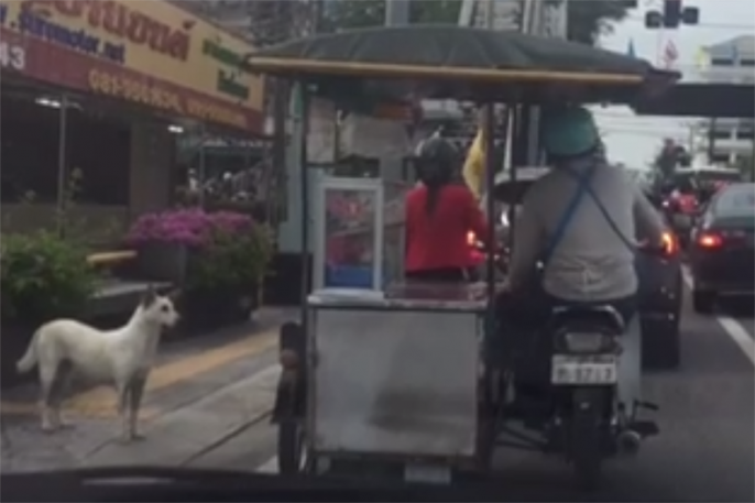 โลกนี้ยังน่าอยู่: พ่อค้าโตเกียวใจดี ทำขนมให้น้องหมาระหว่างรอไฟแดง