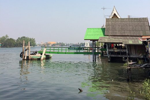 สะดุ้งกันทั้งบาง ประกาศเตือนพบจระเข้นอนอาบแดดในลุ่มน้ำแม่กลอง