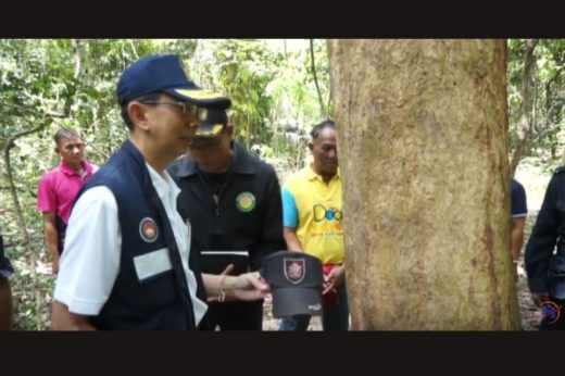 งงเด้! “ชาวบ้าน” ร่วมมือล้อมจับ “เจ้าหน้าที่” ลักลอบตัดไม้พะยูง