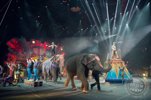 คณะละครสัตว์ชื่อดังอเมริกา Ringling Brothers ปิดฉากการแสดง 146 ปี