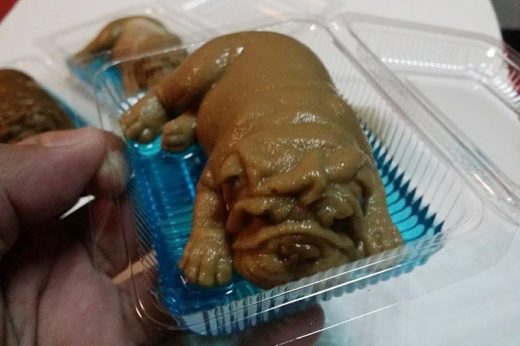 เห็นครั้งแรกมีสะดุ้ง! โลกออนไลน์แห่แชร์ภาพ ‘วุ้นหมา’ เหมือนจริงจนไม่กล้ากิน