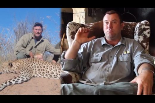 นักล่าตายเพราะเหยื่อ ถูกช้างที่โดนยิงล้มทับดับขณะล่าสัตว์