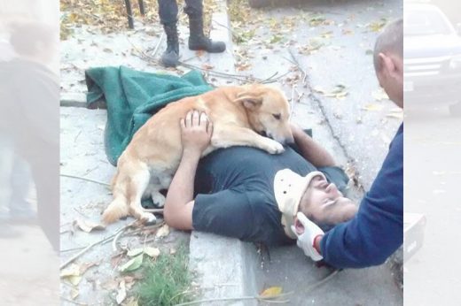 ความรักของสี่ขา ตูบห่วงนายตกต้นไม้สุดใจ นอนกอดไว้ไม่ห่างแถมจะตามขึ้นรถพยาบาลด้วย