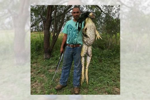 ชายมะกันจับได้กบยักษ์ ชาวเน็ตถกตัวใหญ่ขนาดนี้ของจริงหรือมุมกล้อง!?