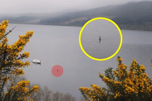 จริงหรือหลอก! คลิปวัตถุประหลาดคล้าย “เนสซี” โผล่แหวกว่ายในทะเลสาบล็อคเนส