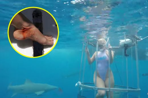 ดูจะจะ! คลิปนางแบบถ่ายแบบใต้น้ำโดนฉลามกัดเลือดอาบ ขณะผู้เชี่ยวชาญแฉแค่จัดฉาก