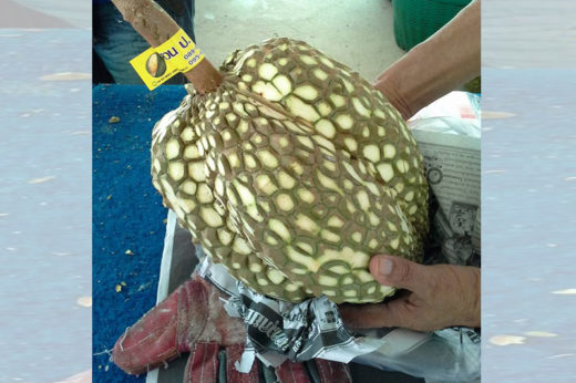 ลูกค้าสั่งก็จัดให้ แม่ค้าขาย “ทุเรียนไร้หนาม” หิ้วง่าย แกะง่าย ไม่ต้องกลัวหนามทิ่ม