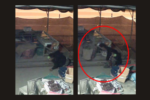 แม่ค้าผลไม้ร้องเจอ “โจรขโมยทุเรียน” คลานเข้าร้านกลางดึกกวาดไปยกเข่ง!