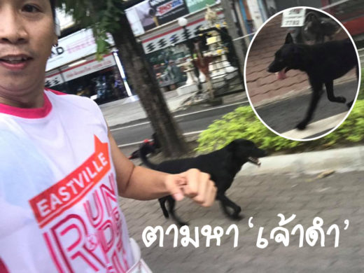 ชาวเน็ตรวมพลังร่วมแชร์ตามหา ‘เจ้าดำ’ หมานักวิ่ง หวังหาบ้านอบอุ่นให้ต่อไป