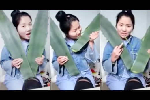 สาวจีนเผ่นไปรพ. แทบไม่ทัน เหตุอัดคลิปโชว์กินว่านหางจระเข้ ที่ไหนได้เป็นพืชมีพิษ!