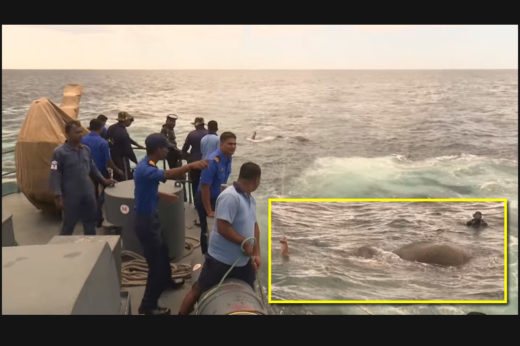 ทหารเรือศรีลังการุดช่วยช้าง หลังพบลอยเท้งเต้งกลางทะเล!