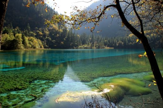 เมืองจีนแผ่นดินไหวขนาด 7.0 เสียหายหนัก ประกาศปิดอุทยานจิ่วจ้ายโกวไม่มีกำหนด