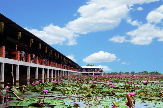 เที่ยวง่ายใกล้กรุง: พาชม ‘ตลาดน้ำทุ่งบัวแดง’ สวยละลานตา ก่อนชิมของดี ‘เมี่ยงดอกบัว’