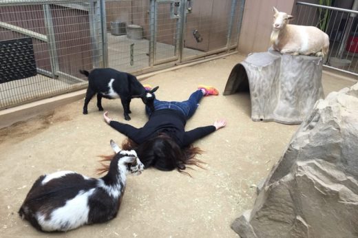 เทรนด์ใหม่อะไรเนี่ย?! ‘Stefdies’ ถ่ายดีๆ ไม่ได้ ถ่ายให้เหมือนคนตายไปอีก