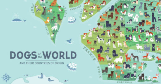 น่าร้ากกกก แผนที่ Dogs of the World ตัวการ์ตูนน้องหมาตามถิ่นกำเนิด ได้ความรู้คู่ความมุ้งมิ้ง