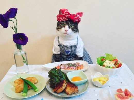 รู้จักกับเจ้าเหมียวชวนชิม “MARO” คอสเพลย์แมวกับมื้ออาหารสุดอร่อย เสิร์ฟพร้อมความน่ารัก!