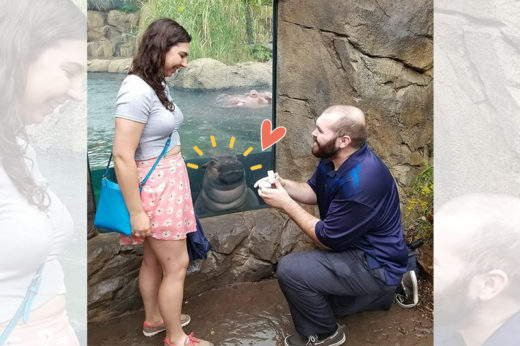 พยานรักไซส์ใหญ่ หนุ่มคุกเข่าเซอร์ไพรส์หวานชวนแฟนสาวแต่งงาน ขณะที่เจ้าฮิปโป Photobomb อยู่ด้านหลัง