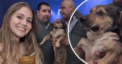 งานไหนเป็นได้แค่แขก..ไม่รับเชิญ พบน้องหมาป่วนปาร์ตี้ เนียนไปแจมทุกทีที่มีของอร่อย ร้ายนะเรา!