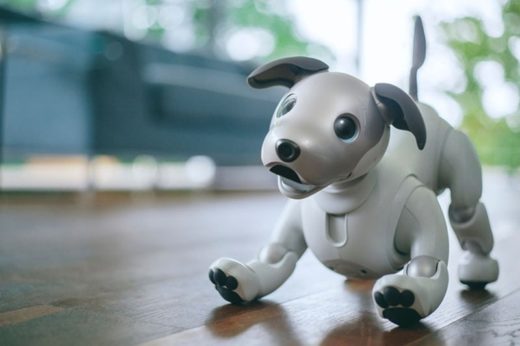 Sony ปัดฝุ่นหุ่นยนต์สุนัขแสนรู้ “AIBO” จ่อวางจำหน่ายรุ่นใหม่สุดล้ำต้นปี 2018