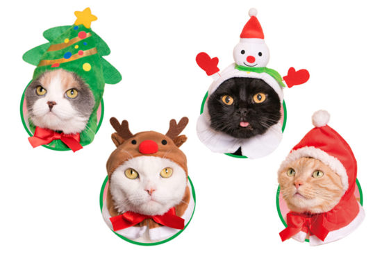 Kitan Club ออกกาชาปองใหม่ ‘หมวกแมว’ น่ารัก 4 แบบต้อนรับเทศกาลคริสต์มาส ทาสแมวเห็นแล้วต้องชอบ!