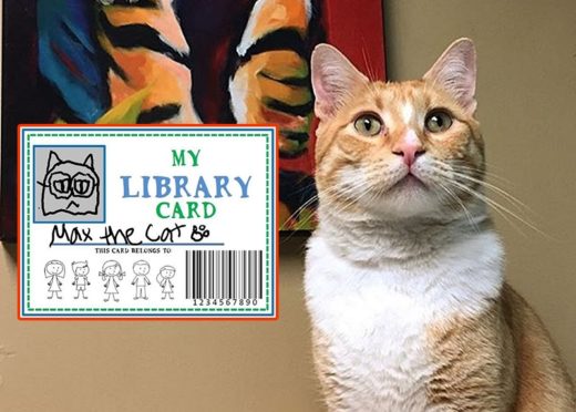 ทาสแมวทนไม่ได้! ออกไอเดียทำบัตรเข้าห้องสมุดให้แก่เจ้าเหมียว Max หลังบรรณารักษ์ติดป้ายห้ามเข้า
