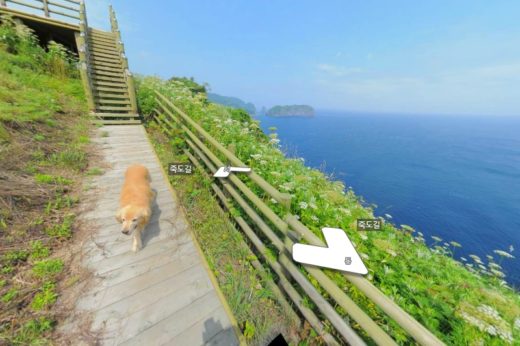 ส่องความน่ารักเจ้าตูบแสนซน! เมื่อมันปรากฏตัวอยู่ทุกที่ในแผนที่ Street View เกาะ Jukdo เกาหลีใต้