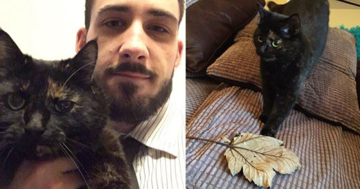 ความน่ารักของเจ้าเหมียวแสบผู้คาบ “ใบไม้” มาเป็นของขวัญให้เจ้านายทุกๆ เช้า