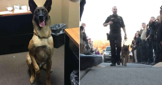 เศร้า เจ้าหน้าที่หลั่งน้ำตาจูงสหายรักสุนัขตำรวจทำการุณยฆาต หลังพบเป็นมะเร็งร้ายลุกลาม