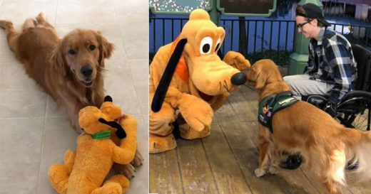 เจ้าหมาสุดตื่นเต้นได้เจอ พลูโต ตุ๊กตาตัวโปรดที่นอนกอดทุกคืนแบบตัวเป็นๆ