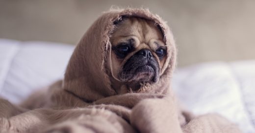 เป็นกันไหม? Post Holiday Blues อาการห่อเหี่ยวหลังวันหยุดยาว