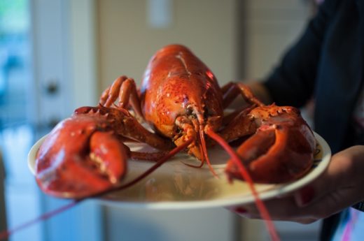 สวิตเซอร์แลนด์ผ่านกฎหมายใหม่ สั่งใช้ไฟฟ้าช็อตล็อบสเตอร์เป็น ก่อนนำลงหม้อต้ม