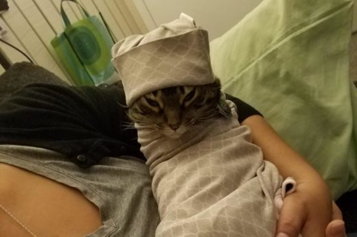 อยู่บ้านทาสอย่านิ่งดูดาย เจ้าเหมียวเลยต้องแปลงกายเป็นเบบี๋ให้คุณแม่มือใหม่ซ้อมก่อนจริง