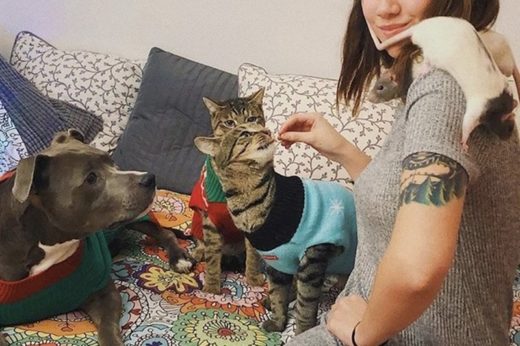 มิตรภาพไร้กำแพงกั้น สัตว์สามสายพันธุ์ ‘สุนัข-แมว-หนู’ กลายมาเป็น 5 สหายสุดน่ารัก