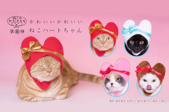 ส่งความน่ารักวันวาเลน์ไทนนี้ ด้วยกาชาปอง ‘หมวกแมว’ รูปหัวใจจาก Kitan Club สิเมี้ยว!