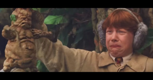 นักวิจัยพบ เมื่อพืชโดนยาสลบ สามารถหมดสติได้เหมือนคน!?