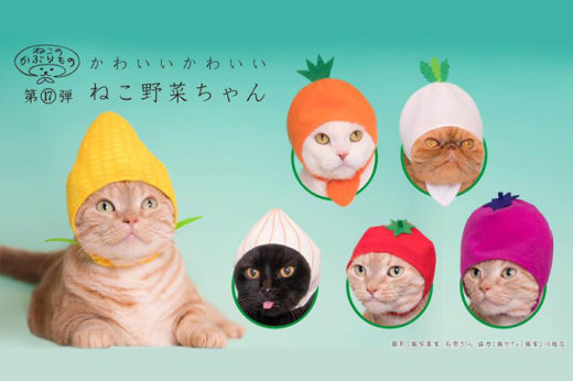 มาอีกแล้ว! Kitan Club ออกกาชาปองหมวกแมวชุดใหม่ รอบนี้ขอแปลงเจ้าเหมียวให้เป็น ‘ผัก’