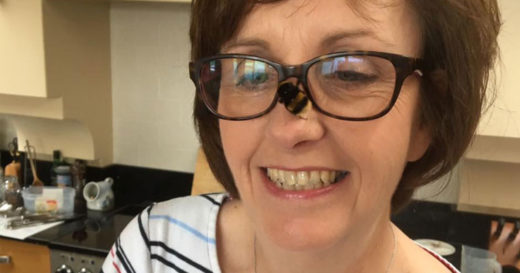 มิตรภาพที่คาดไม่ถึงระหว่างคนกับแมลง เมื่อหญิงใจดีช่วยชีวิตผึ้งหึ่งไร้ปีก